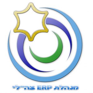 IDF’s ERP Management Portal for Air, Land, Sea computer units – Logo and branding.