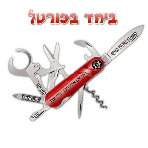 Branding for IDF's HR portal